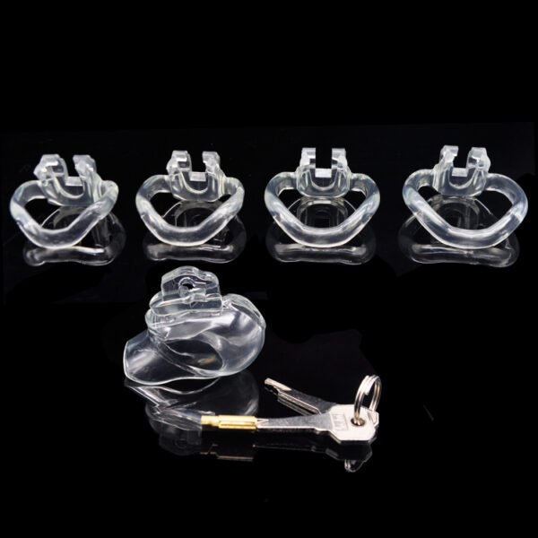 Transparent chastity cage and a concealed lock plus four fixed rings