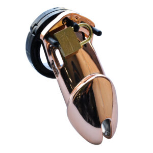 Chrome plated chastity cage