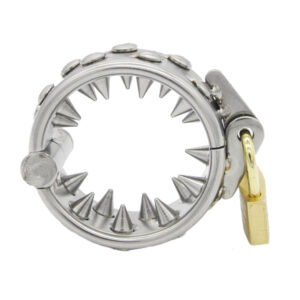 metal spiked chastity cage