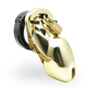 Male Chastity Cage Goldsilver Control B-9