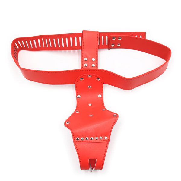 female chastity belt