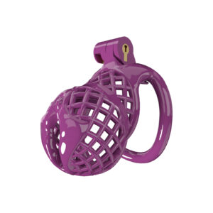 3d printing chastity cage