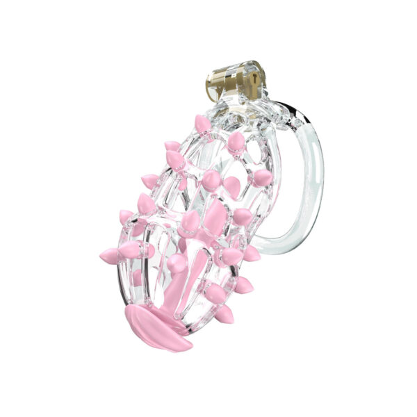 spiked chastity cage