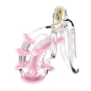 spiked chastity cage