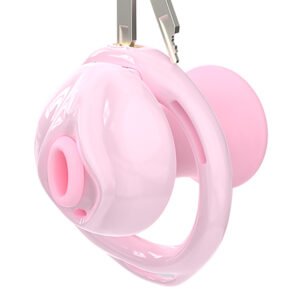 SISSY CHASTITY CAGE MALE INVERTED FAUX LABIA