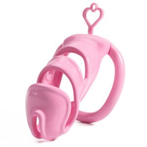 3D PRINTED CHASTITY CAGE HOLLOWED BREATHABLE PLASTIC LOCK CORE