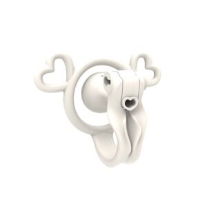 Inverted Chastity Cage for Sissy