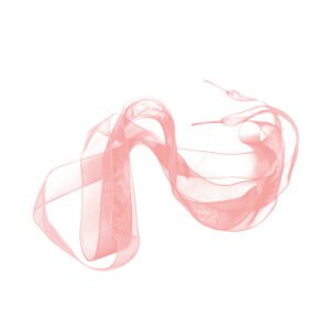 Chastity Cage Accessories ribbon waist belt