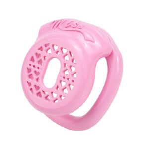 Flat Chastity Cage Resin“Miss”Sissy BDSM Heart-Hollow