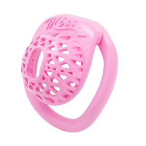 Sissy Resin Chastity Cage Romantic Heart-Shaped"Miss"