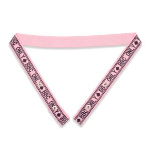 Chastity Accessory