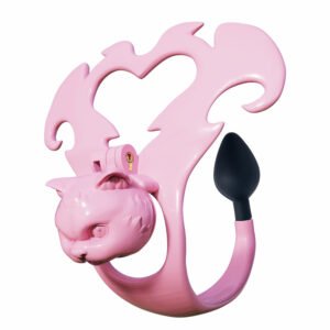 Sissy Chastity Cage Resin Front Shield Plate Plug