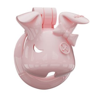 Resin Chastity Cage Bunny Style Sissy BDSM