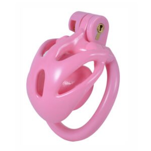 Inverted Chastity Cage Sissy BDSM Breathable Lock
